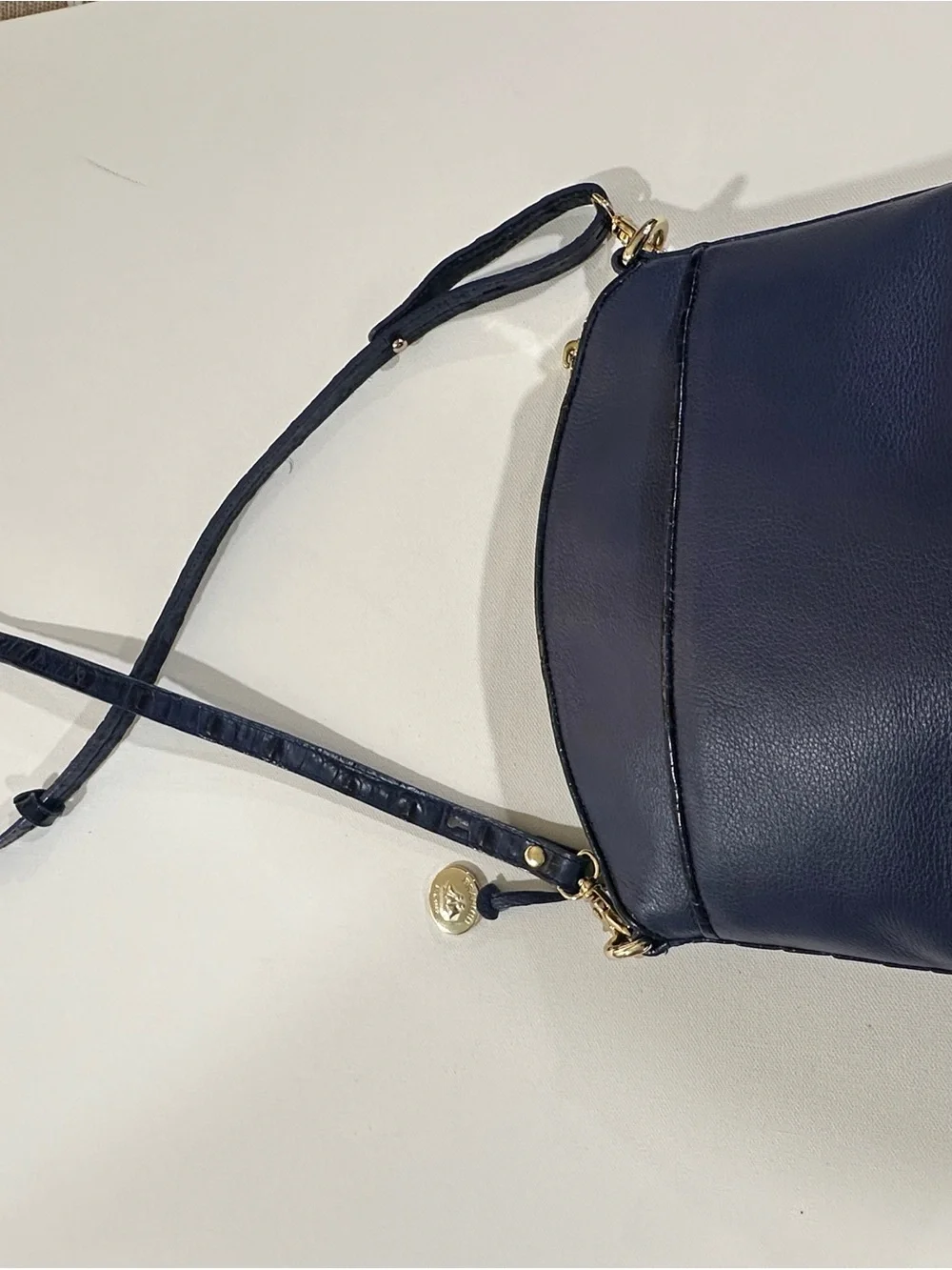 Brahmin Special Edition Navy Croc & Metallic Woven Crossbody Pristine Condition